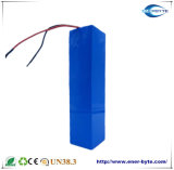Lithium-Ion Battery Pack 36V 10ah