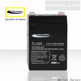 12V2.9ah Rechargeable Lead Acid Battery for UPS