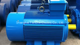 380 660 V Low Voltage 3 Phase AC Electric Induction Motor