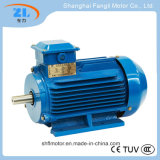 Ie3 60Hz Totally Enclosed Fan-Cooled Aquirrel-Cage Gear Motor