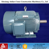 Y Series 3 Phase Foot Mounted Induction Motor