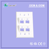 120 Type, Inclined 45 Degree 4 Port Faceplate