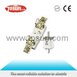 Gl Closed Low Voltage Fuse (NT)