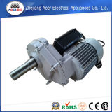0.75HP AC 230V One-Phase Asynchronous Geared Motor