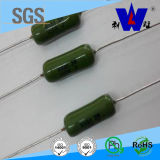 Rxg1 Type Enamel Wirewound Resistor with ISO9001