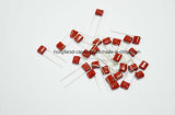 Metallized Polyester Film Capacitor for Lighting Cl21 Mef