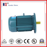 Yx3 Series 3 Phase Induction AC Electric Motor with Cyclo Reducer