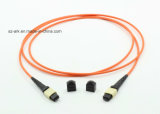 Shenzhen Suppliers for Fiber Optical MPO Multimode Patch Cords