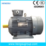 Y2 Ms Electric Three Phase Asynchronous Squirrel-Cage Induction Motors Induction Motor