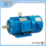 YVF2 Series Variable Frequency Adjustable-Speed Converter-Fed Three Phase Induction Motor