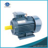 Ce Approved High Efficiency IE2 Asynchronous Induction AC Motor