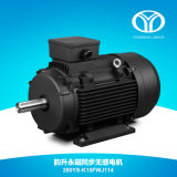 AC Permanent Magnet Synchronous Motor (110kw 1500rpm)
