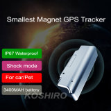 OEM ODM Car GPS with 3 Month Standby Time