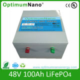 High Quality Lithium Electric Forklift Battery 48V 100ah with BMS