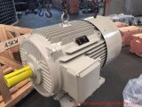 Ie2 Y 7.5HP/10HP Series Three Phase Electric Motor Pvoc CE