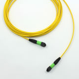 MPO-MPO Ribbon Cable for Fiber Integration