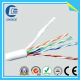 Network Cable (CH40143)