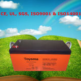 100ah AGM Battery Cheap 12V Batteries with 5-Year Warranty
