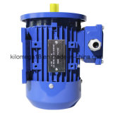 Industry Electric Motor B5 Installed Type for Exporting