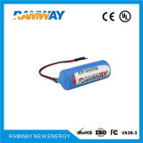 High Energy Density Lithium Battery for Real Time Clock (ER18505M)