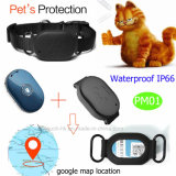 IP66 Waterproof Mini Pet GPS Tracker with Key Pendant Pm01