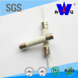 NF02 Ceramic Wirewound Micro-Fuses with UL