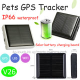 IP66 Waterproof Pets GPS Tracker with Solar-Powered Battery V26