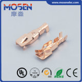 Lamp Socket Terminal Electrical Connectors Djd034-2 Wire Connector