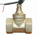 G2'' Copper Paddle Flow Switch