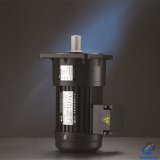 Vertical Light Type AC Motor with Brake Small AC_C
