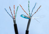 Indoor 24 AWG FTP Cat. 5e LAN Cable with PVC (CM CMR) Lsoh Jacket