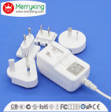 Interchangeable and VI Level Energy Efficiency Switching Power Adapter