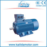 Ie2/Ie3 Three Phase Energy Efficient Electric Motor