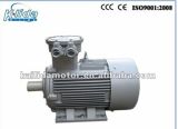 315kw High Quality Chinese Explosion Proof Motor with Ce, Atex Certificate
