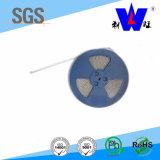 1ws SMD Surface Mount Power Resistor