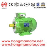 Hongma Electric Asynchronous Induction Motor 200L1-2pole-30kw
