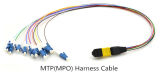 Singlemode 12 Fiber MPO to LC Ribbon Patchcord