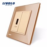 Livolo Socket in Wall Gold Color 1 Gang USB Charger Vl-C791u-11/12/13/15