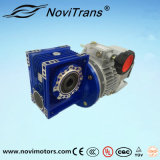 0.75kw AC Multi-Function Motor with Speed Governor and Decelerator (YFM-80D/GD)