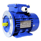 Industry Electric Motor for Exporting
