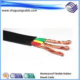 Submersible Motor/Waterproof/Rubber Sheath/Flat/Electric Power Cable
