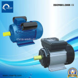 Yl Series Single-Phase Dual-Capacitor Induction Motor