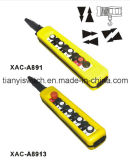 Remote Control Hoist Crane Switch (XAC-A891 OR XAC-8913)