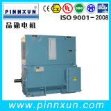 Induction 3 Phase IC81W Water Cooling Motor