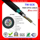 Factory 48/96 Core Sm Double Armored GYTA53 Optic Fiber Cable