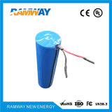 3.0V Dd Size Lithium Battery for Field Detectors with Ce MSDS SGS Recognised (CR341245)