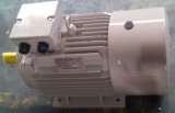 Ie2 Y2/Y Series Three Phase Cast Iron Frame Electric Motor 801-2, 0.75kw Ce (TEFC IP55)