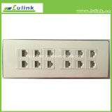 195*70mm, 12ports RJ45 CAT6 Faceplate/Wall Plate with CAT6 Module