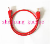 8 Number of Conductors and Cat 6 Type CAT6 UTP Patch Cord/Computer Cable/Data Cable/Communication Cable/Audio Cable/Connector
