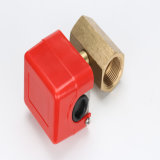 Pure Copper Paddle Type Water Flow Switch Lkb-01d High Quality